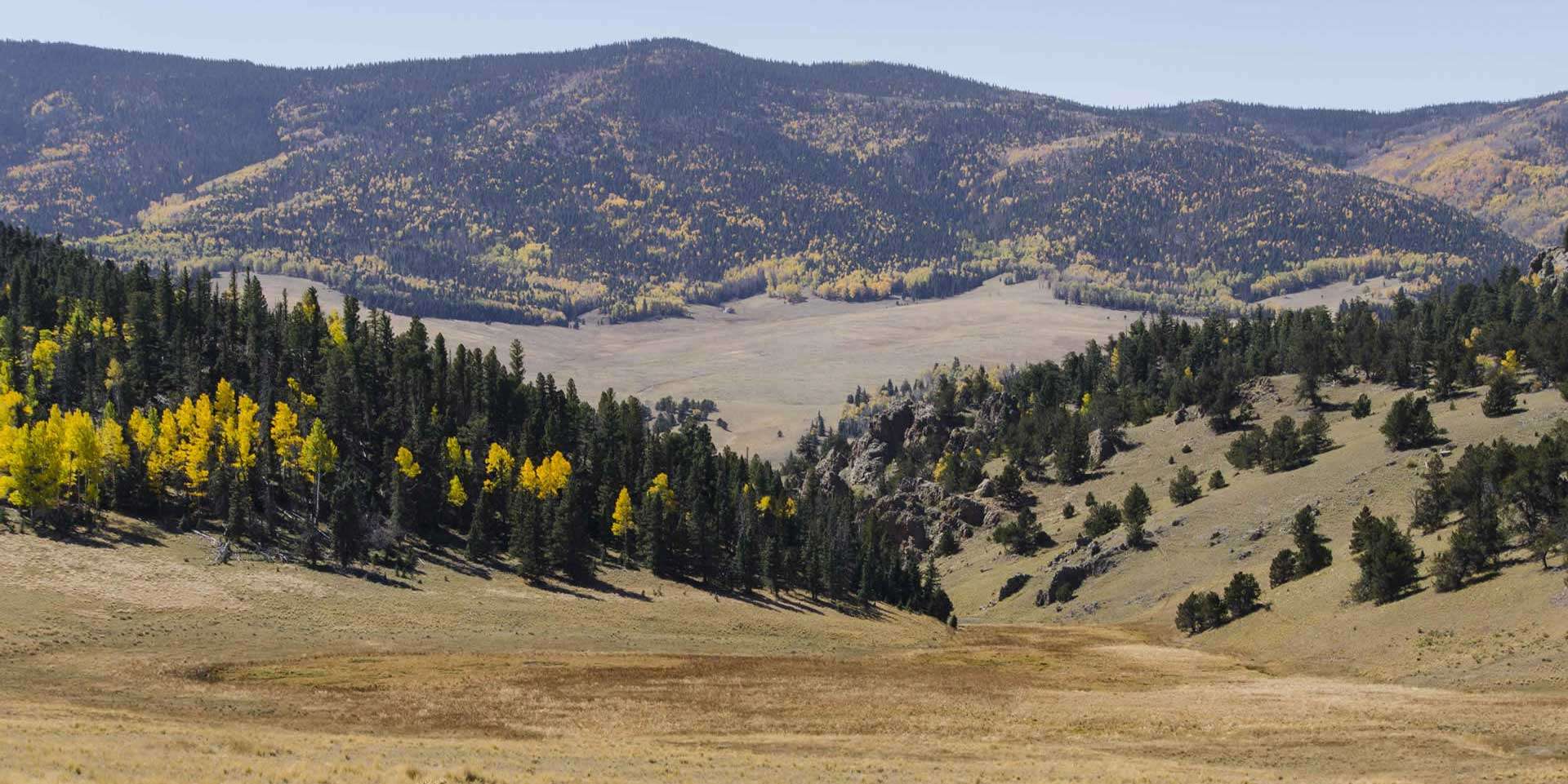 Hunting Elk in Valle Vidal New Mexico