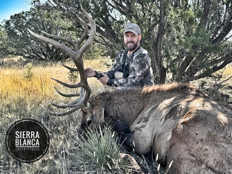 Elk Hunting Photo