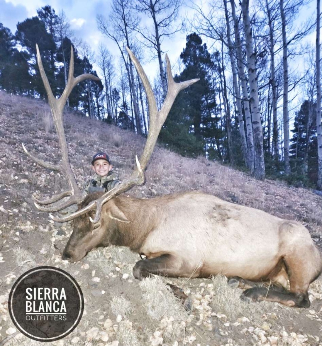 Elk Hunting Photo