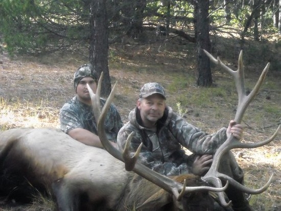 Trophy Elk Hunts per person