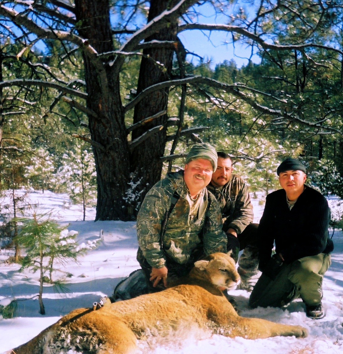 Mt Lion Hunting Photo