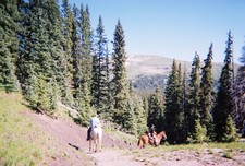 On Horseback in New Mexico