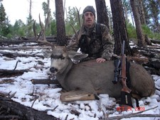 Nice New Mexico Mulie