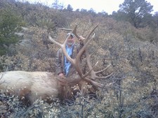 Late season rifle elk hunt